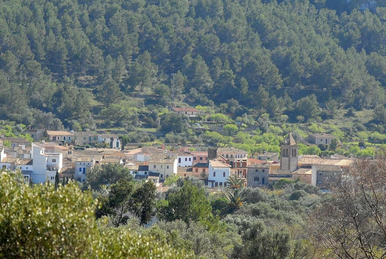 Vakantiehuis Puntblanc Residences Sarraco *